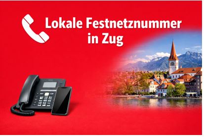 Lokale Festnetznummer mit Vorwahl 041 für Unternehmen in Zug